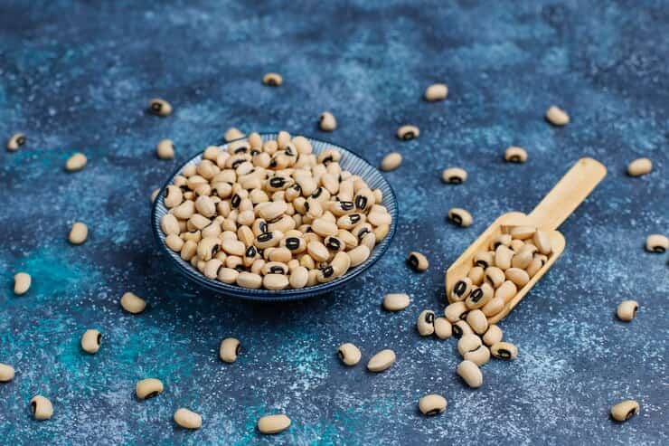 تصویر 3 از خرید و قیمت لوبیا چشم بلبلی + فروش عمده